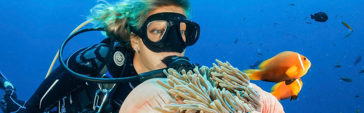 Grenadines Snorkeling, Scuba Diving And Activities