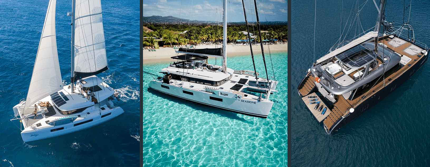 Collage Scuba Doo, Seahorse, Relentless II.png