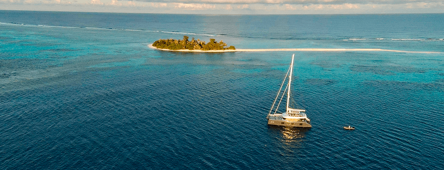 Freedom and Flexibility